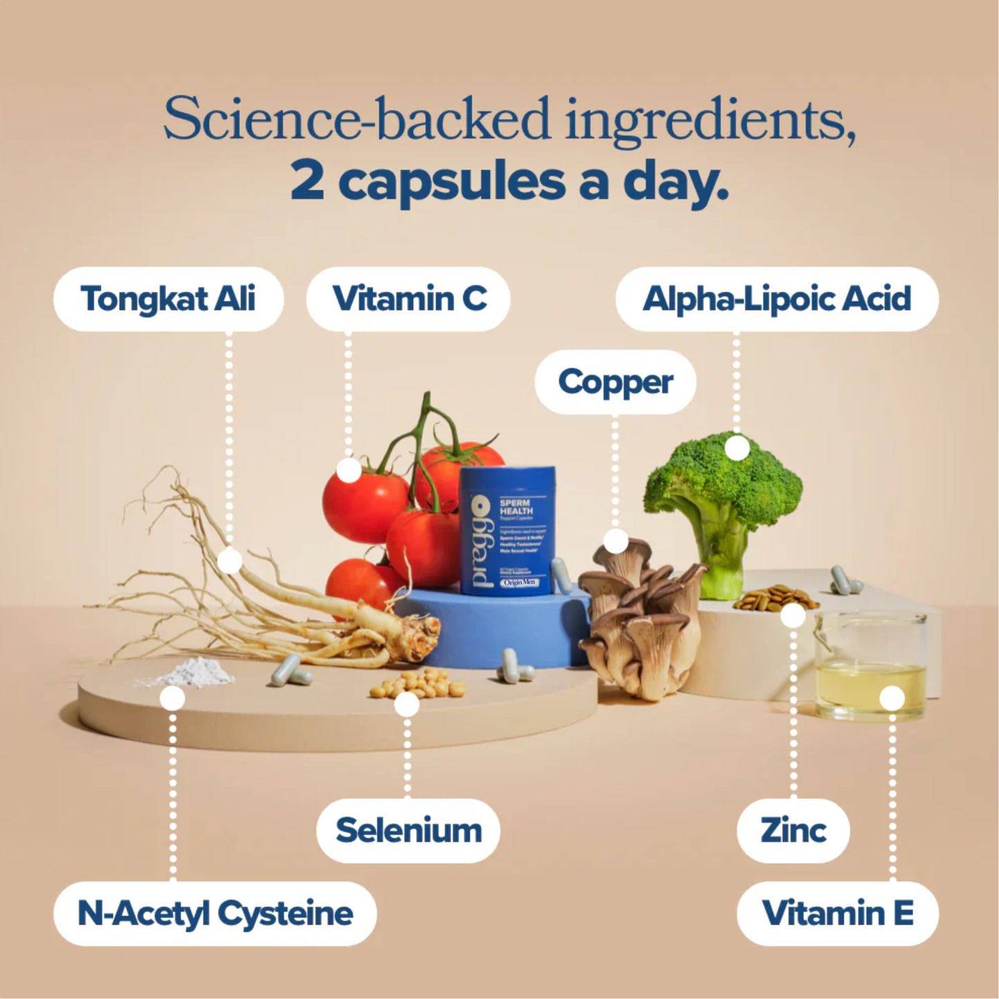 Sperm Health Capsules